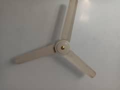 dealing fan call on Whatsapp