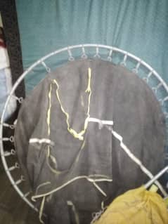 Jumping Trampoline