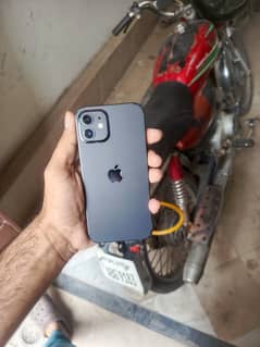 iphone 12 Condition 10/9.5