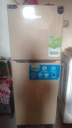 fridge medium size