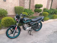 Brand new condition