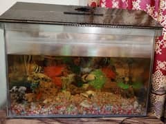 aquarium