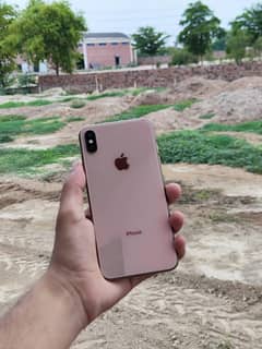 iPhone Xs Max 256Gb