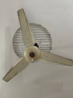 Ceiling fan