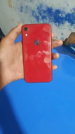 iPhone xR