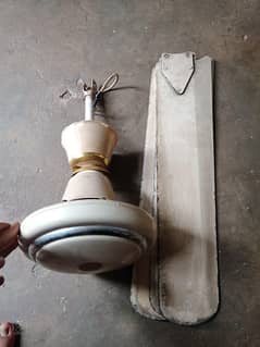 2no fan hai pak fan k