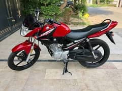 YBR 125
