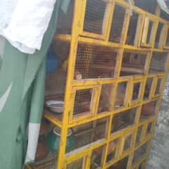 one cage ka sat pair free