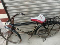 saf halt ha   urgent sale