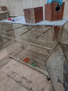 colony cage