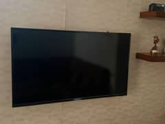 Hisense