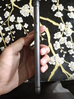 Iphone 11 non pta jv