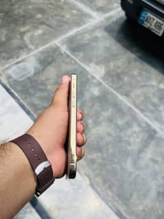 Iphone 12 pro (128GB)