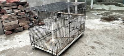 one season used cage