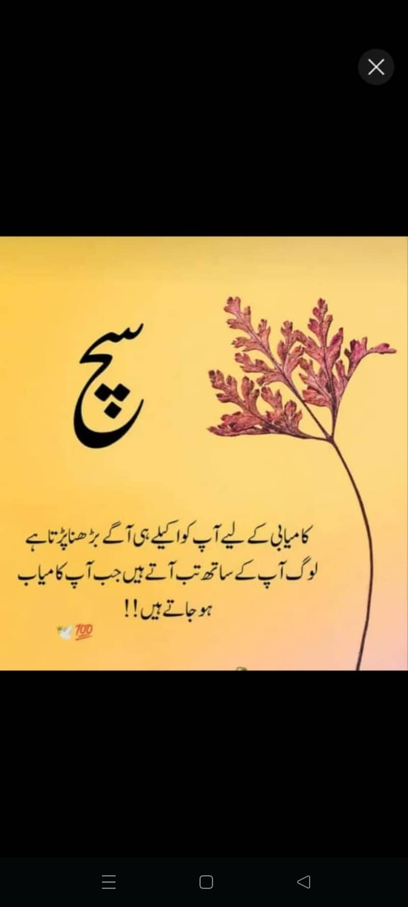 لنگر تقسیم کیلئے خواتین کی ضرورت(تفصیل پرھ  لیں) 0