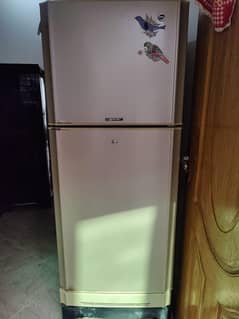 pel freezer for sale