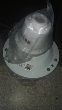 Royal Fan (New)