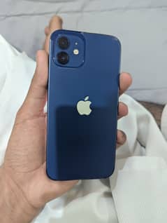 Iphone 12 JV