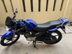 YBR-125