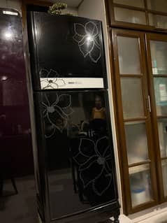 orient fridge