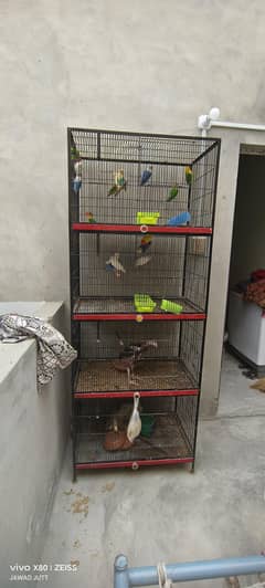 7 pairs ha full active ha  cage be Sath ha 6 fit ka