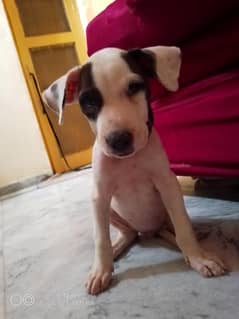 selling my