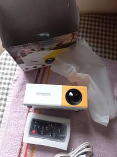 YG300