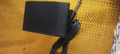 foot control paddle