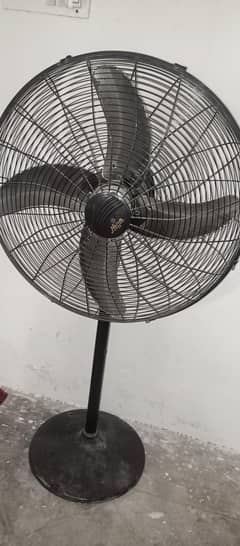 fan