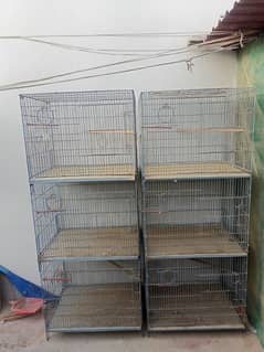 cage & Bird's & box all setup sell