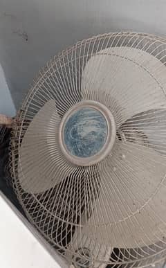 Fan sale