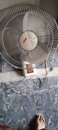 Bracket fan