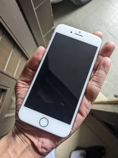 iphone 8 pta approve 64gb