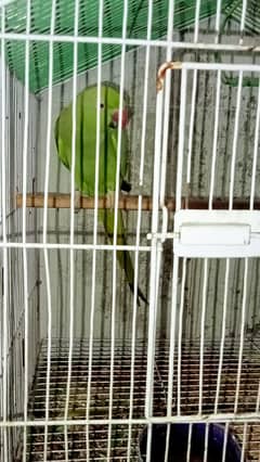 it