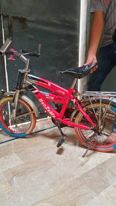 BenZeMa  Bicycle for Sales