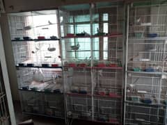 Cages 1.5×1.5 8 portions available