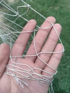 Cricket Net