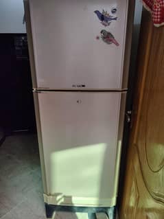 pel company freezer