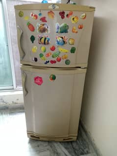 PEL Good Condition Full Size Refrigerator