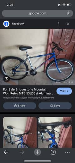 Bridgestone mountain wolf