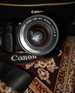 Canon EOS 60d professional body