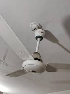 02 Royal Saver Fan