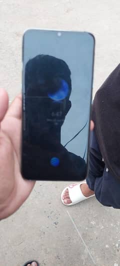 vivo
