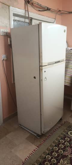 lg
