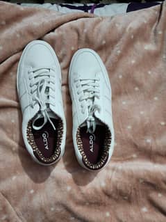 Aldo