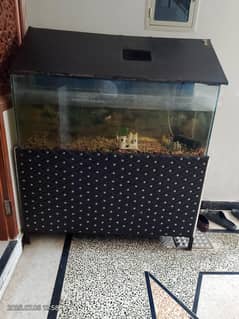 equirium 42lengtg 47 width
