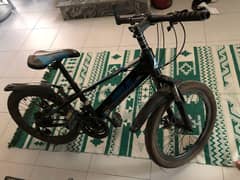 CHINESE CYCLE