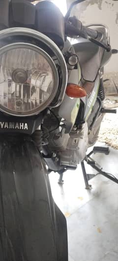 YBR