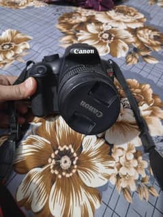 canon camera