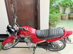 Yamaha YB 125Z 2019